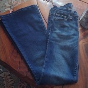 Flying Monkey MidRise Dark Denim Flares